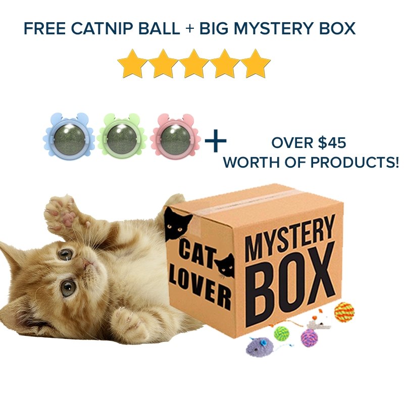 Mystery box - Paws King