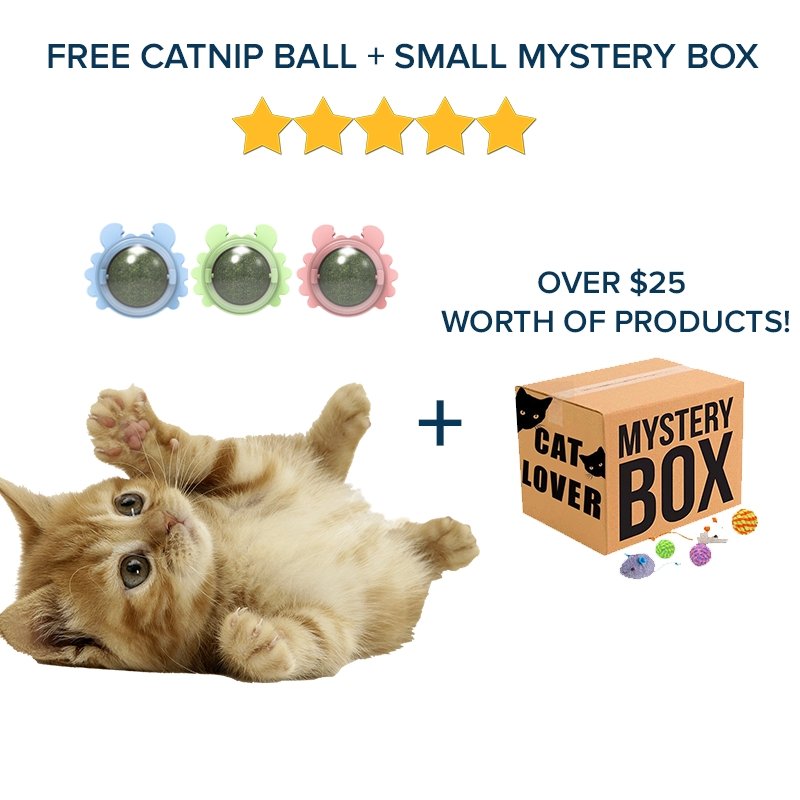 PawKing™ Catnip ball - Free Today! - Paws King