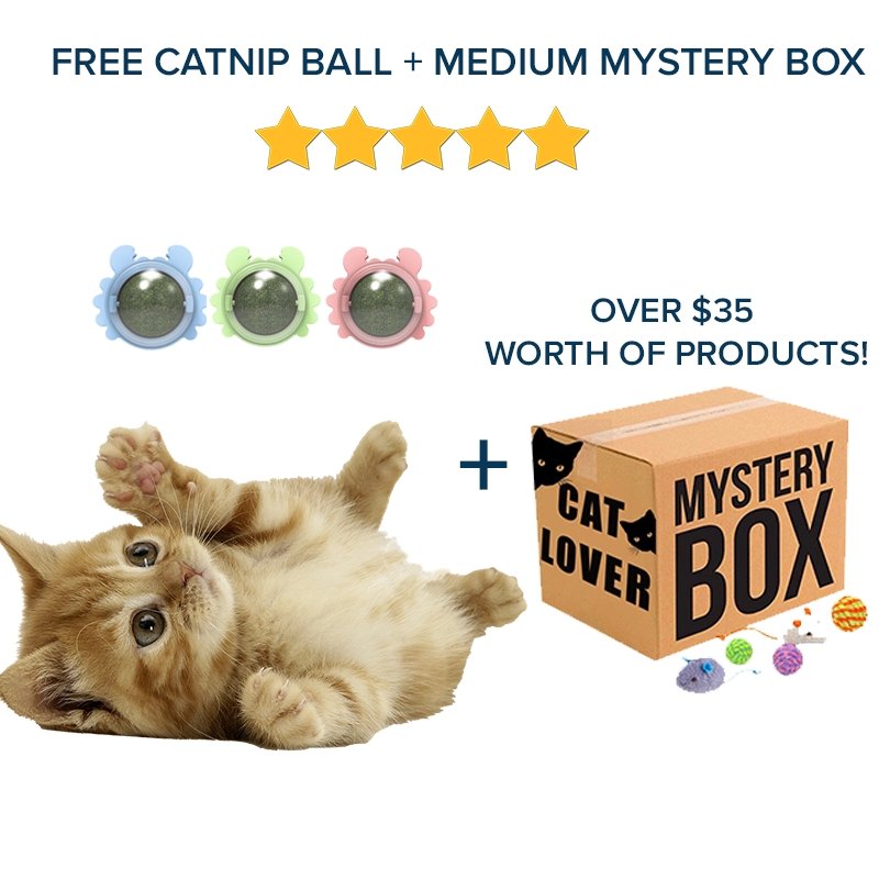 PawKing™ Catnip ball - Free Today! - Paws King